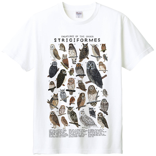 鸮形目短袖t恤猫头鹰，科普鸟类动物纯棉染印亲子装，体恤夏季圆领