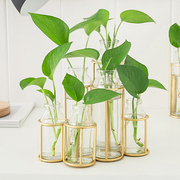 花瓶摆件创意小清新大客厅桌面绿萝插花欧式花器玻璃水培植物容器