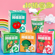 幼儿园种植盆栽盲盒 儿童植物花卉种子小创意桌面摆件小盆栽