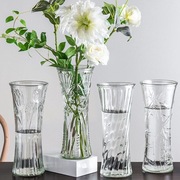 玻璃花瓶透明水养富贵竹百合花瓶，摆件客厅插花干花北欧家用特大号