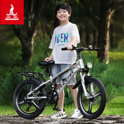 凤凰儿童自行车6-14岁男孩，小学生中大童山地，变速减震碟刹20寸单车