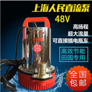 便。携式小型电瓶动车家用农用直流水泵12V24V48V高扬程船用潜水