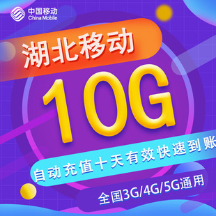 湖北移动十日包10GB流量 3/4/5G通用 可跨月 不可提速