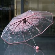 创意樱花透明三折雨伞折叠女韩国日本樱花，树荫伞文艺清新可爱萌伞
