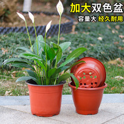 家用白色一次性简易育苗盆塑料吊兰盆营养钵，黑色盆栽双色花盆