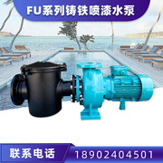 游泳池设备fu铸铁水泵循环离心式水泵静音水泵高扬程(高扬程)大功率水泵