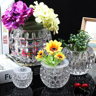 圆形水晶玻璃花瓶透明加厚水养绿萝小豆芽金钱草茶几桌面摆放花盆