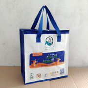 外贸大号拉链编织袋便携手提收纳购物包拼色防水外出收纳袋环保袋