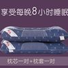 送枕套决明子磁石枕头荞麦枕头，枕芯单人一对成人，颈椎枕头芯套装