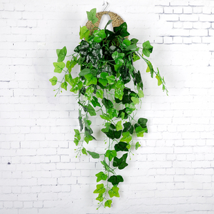 仿真植物藤条假绿植墙面挂饰墙上绿萝吊篮绿叶爬山虎墙壁装饰壁挂