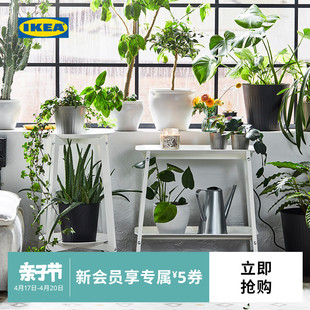 IKEA宜家ALPVIDE艾普维植物架高端多肉花盆架绿植置物架阳台多层