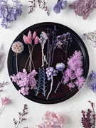 紫色永生花材料包diy迷你干花束植物，标本伴手礼，贺卡片(贺卡片)手办账装饰