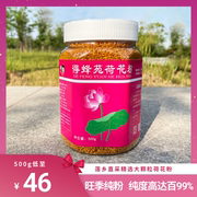 得蜂苑当季荷花粉纯天然大颗粒莲花粉蜂花粉可食用500g