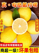 四川安岳黄柠檬(黄柠檬)现摘现发2023新果一二三级薄皮水果饮品店商用柠檬
