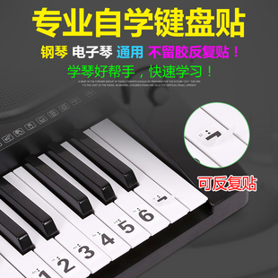 钢琴键盘贴纸88键，61电子琴手卷琴键，五线谱简谱按键音符音标数字贴