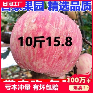 陕西洛川苹果水果新鲜当季红富士冰糖心，丑苹果整箱10斤尝鲜