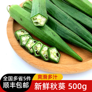 秋葵500g 新鲜蔬菜沙拉食材水果黄秋葵六角羊角豆 5件