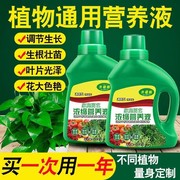 水培型液体园艺营缓释肥营养液植物通用型片绿叶生长落叶养护