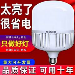 LED220V室内室外超亮节能球泡灯