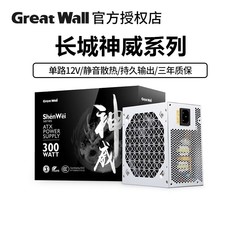 长城神威额定300W 400W 500电源