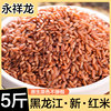 红米杂粮新米5斤东北红糙米饭，红米大米农家，五谷杂粮粗粮粥糙米饭