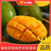 四川攀枝花凯特芒4.5斤 新鲜水果热带芒果新鲜采摘产地直发