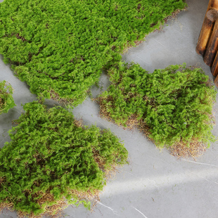 苔藓皮苔藓块青苔植绒摆件软装造景，假山草皮草坪，毛石头(毛石头)仿真苔藓块