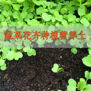 营养土蔬菜播种专用育苗土阳台种菜有机肥料花卉复合肥尿素肥