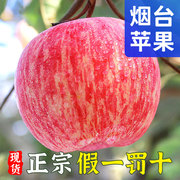 烟台红富士苹果新鲜水果10斤当季正宗山东栖霞冰糖心苹果整箱