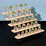 亚克力透明展示架阶梯泡泡玛特盲盒桌面，置物架多肉植物手办公仔木