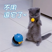 猫玩具球自嗨解闷不倒翁，逗猫棒猫转盘小猫咪宠物，猫猫消耗体力用品