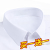 2024秋季长袖衬衫男士商务正装白衬衣(白衬衣)职业，薄款免烫短袖易打理(易打理)寸衫