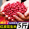 四粒红红皮花生米5斤2024新货新鲜晒干农家自种不带壳红衣生花生