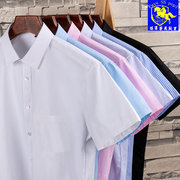 保罗高端工装纯色短袖衬衫男士夏季薄款职业商务休闲寸条纹白衬衣