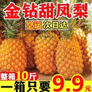海南金钻凤梨10斤新鲜水果当季手撕香水菠萝无眼整箱自然熟5