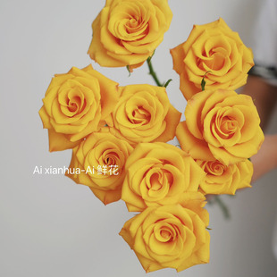 温暖大气橙黄色辉煌玫瑰，鲜花家居办公插花水养云南直发节日送花