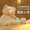 美国大熊毛绒玩具公仔生日礼物泰迪熊抱抱熊