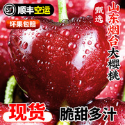25斤山东烟台大樱桃，新鲜水果现摘现发鲜果当季整箱孕妇