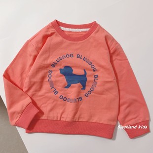 24春秋款 韩国童装男童女童儿童宝宝桔色毛圈棉卫衣长袖T恤打底衫