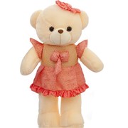 穿衣服穿裙子泰迪熊毛绒玩具抱抱熊布洋娃娃女孩生日礼物