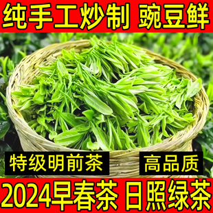 山东日照绿茶2024年新茶特级高端茶叶，绿茶自己喝板栗香头采茶
