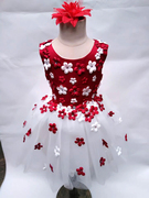 我们是祖国的花朵幼儿舞蹈服装大班女孩公主裙连衣裙演出服儿童红