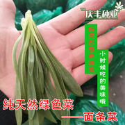 天然面条菜种子四季播春秋，露地菜园秋冬绿色蔬菜野菜籽春季四籽