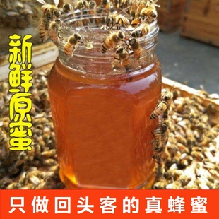 蜂蜜纯正天然农家自产百花蜜结晶土蜂蜜枣花蜜老山洋槐蜜