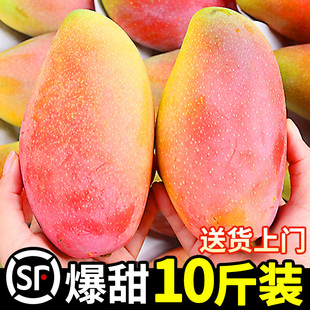 海南贵妃芒芒果新鲜10斤水果当季大果整箱树上熟红金龙辣椒芒