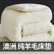 羊毛床垫软垫加厚保暖褥子双人家用垫褥垫被冬季羊羔绒床垫子冬天
