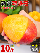新鲜苹果芒10斤装澳芒当季新鲜热带水果，凯特大芒果甜心芒整箱