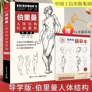 伯里曼人体结构教学2022中国工信出版集团艺用人体，解剖动态解剖入门画册临摹人体结构原理，和绘画教学造型手绘技法国美人物速写书籍
