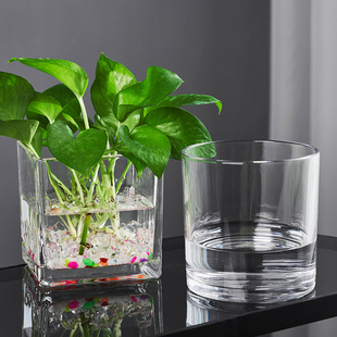 简约现代玻璃花瓶透明水养植物绿萝客厅装饰插花瓶小摆件水培器皿