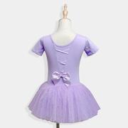 儿童舞蹈服夏季短袖女童六一演出服纱裙蓬蓬裙练功服芭蕾舞裙紫色